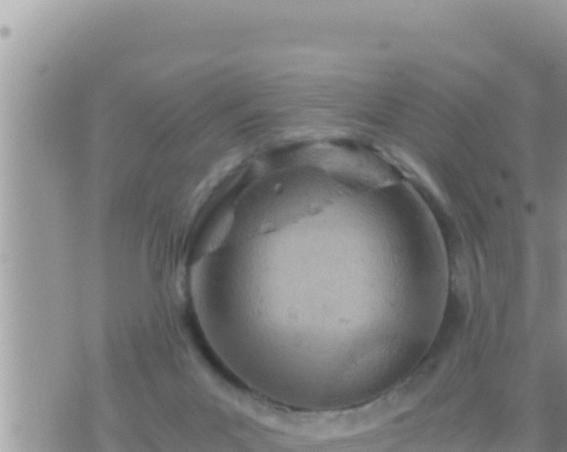 X0000073750023200608102032