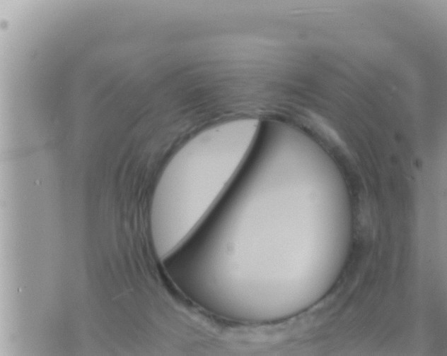 X0000073750025200608102032