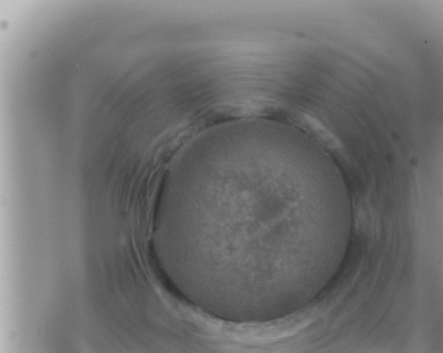 X0000073750026200608102032