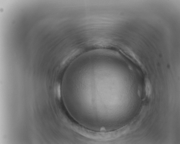 X0000073750027200608102032