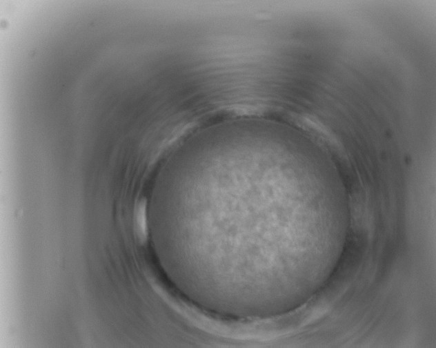 X0000073750028200608102032