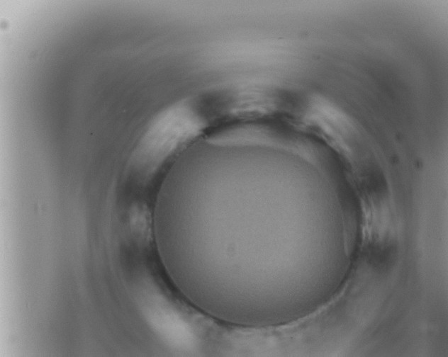 X0000073750029200608102032