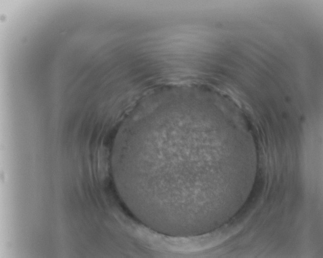 X0000073750030200608102032