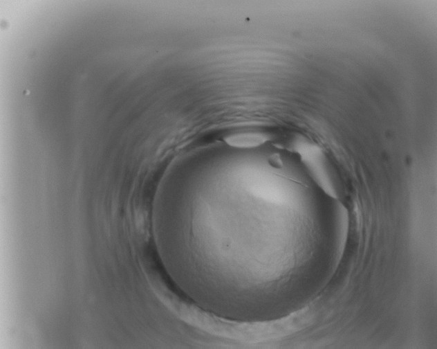 X0000073750031200608102032