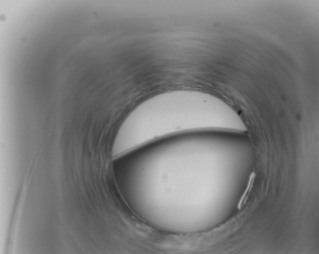 X0000073750033200608102031