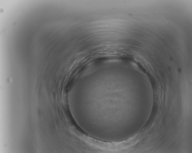 X0000073750035200608102031