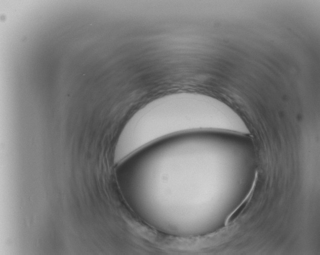 X0000073750037200608102031