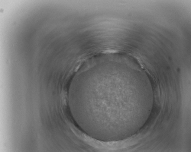 X0000073750038200608102031