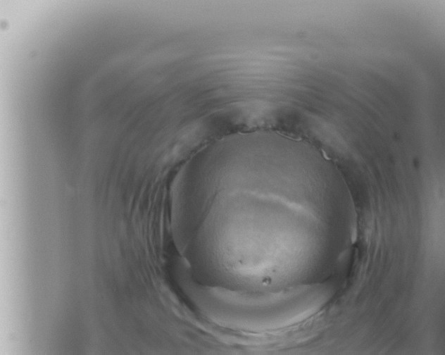 X0000073750039200608102031