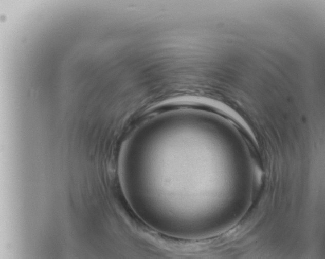 X0000073750040200608102031