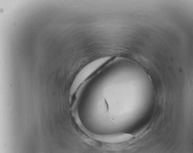 X0000073750041200608102031