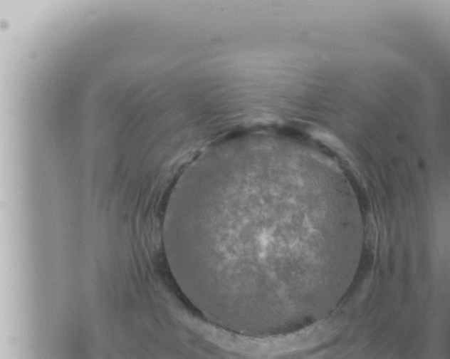 X0000073750043200608102031