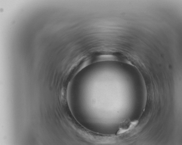 X0000073750044200608102031