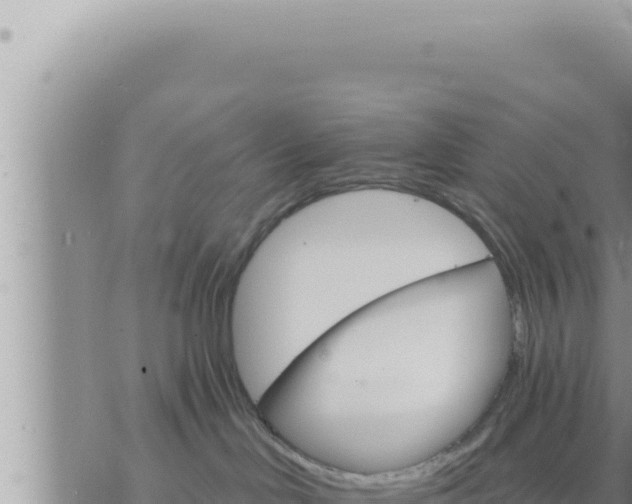 X0000073750046200608102031