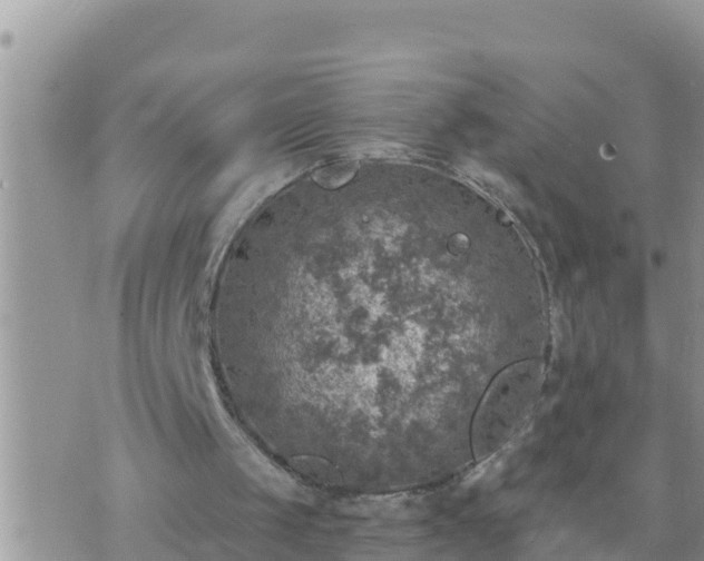 X0000073750049200608102030