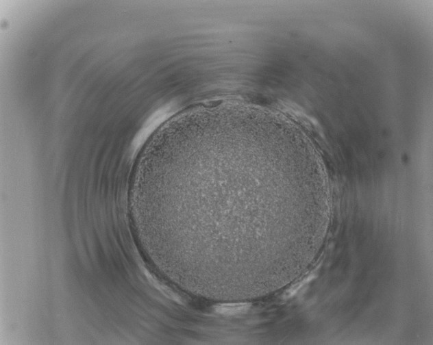 X0000073750051200608102030