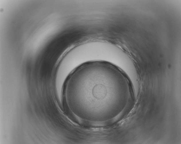 X0000073750052200608102031