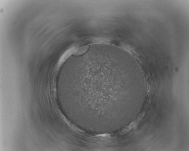 X0000073750053200608102031