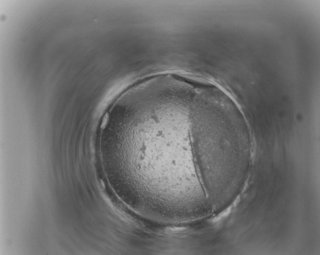 X0000073750055200608102031