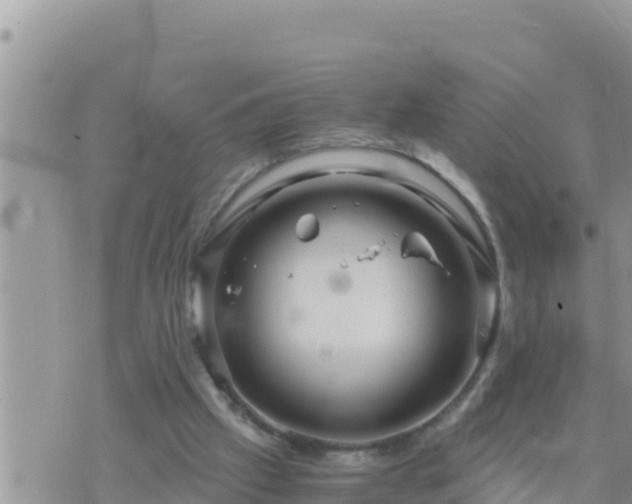 X0000073750057200608102031