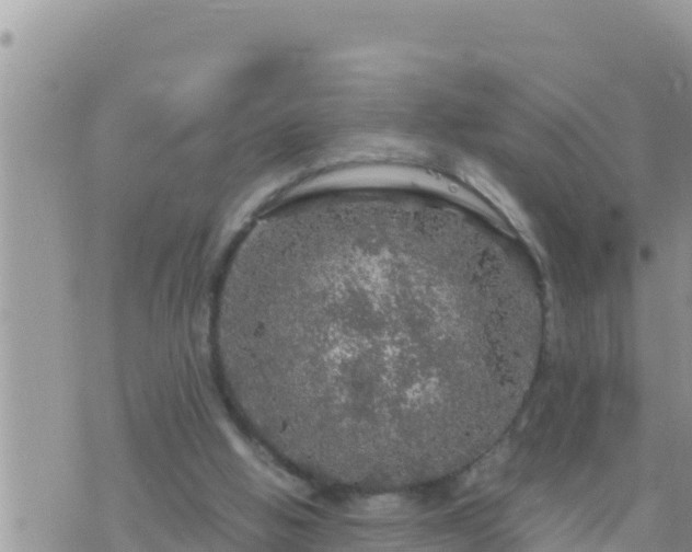 X0000073750058200608102031