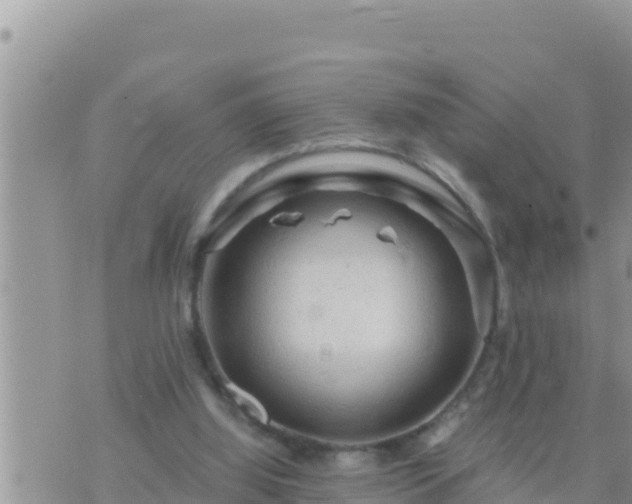 X0000073750060200608102031