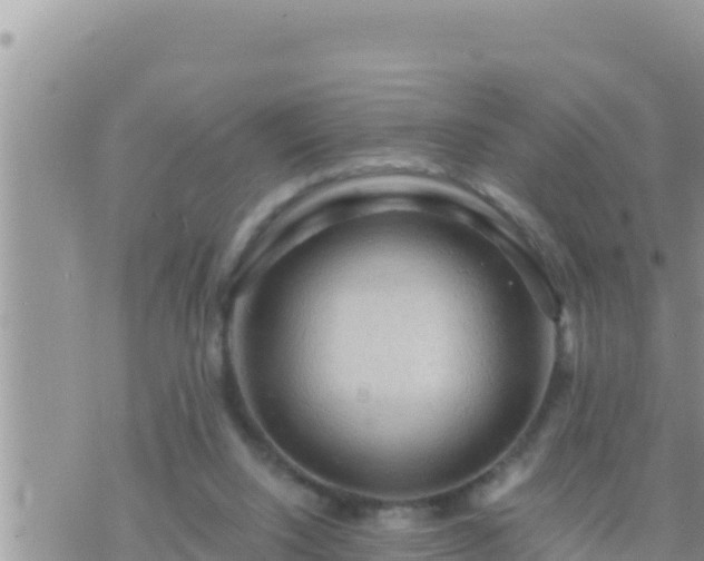 X0000073750064200608102031