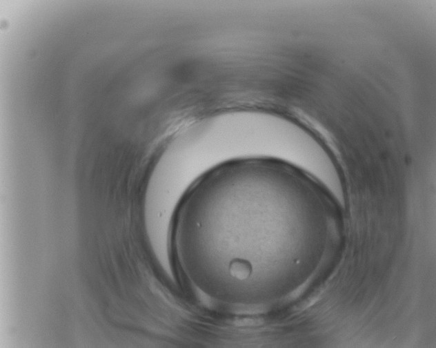 X0000073750067200608102031