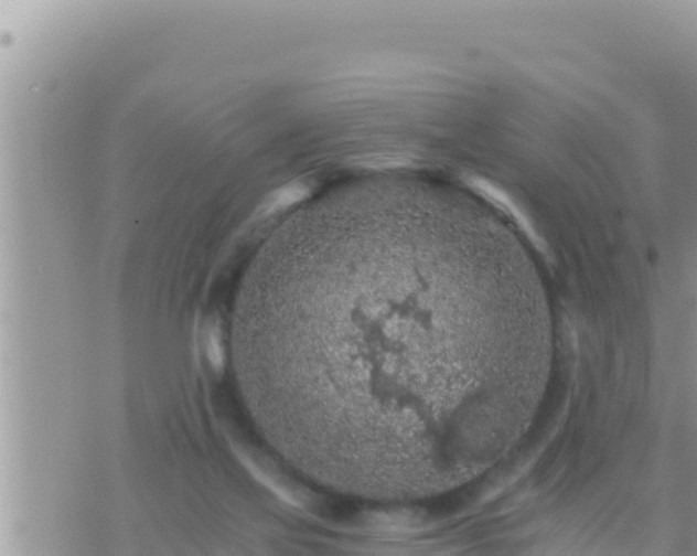 X0000073750069200608102031