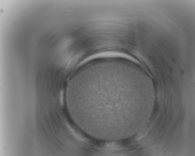 X0000073750070200608102031