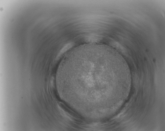 X0000073750071200608102031