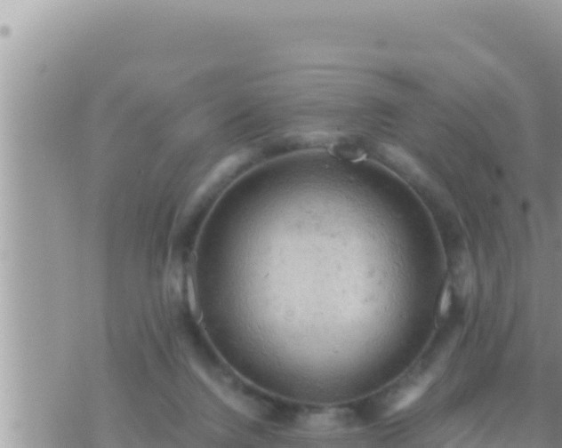 X0000073750072200608102031