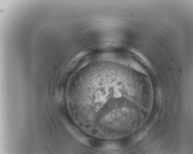 X0000073750073200608102031