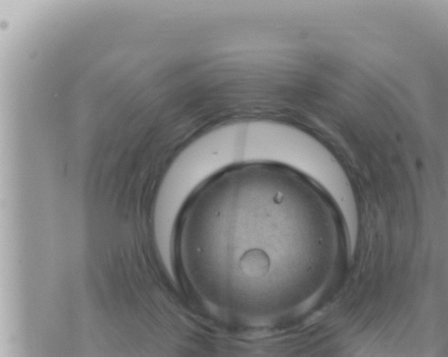 X0000073750075200608102031