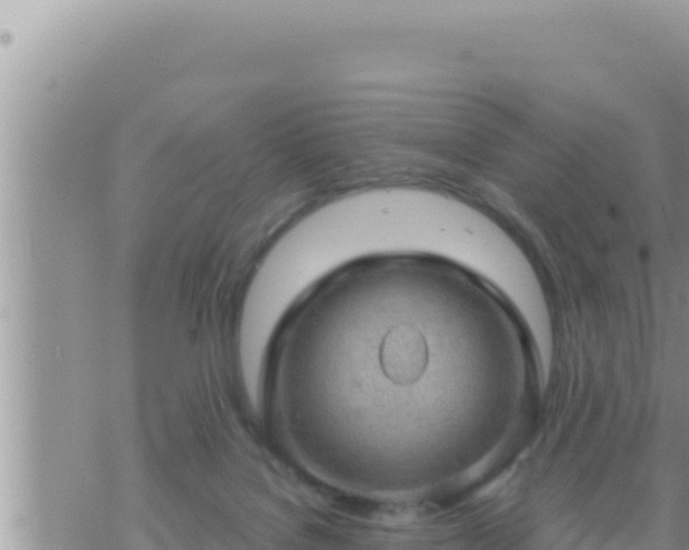 X0000073750076200608102031