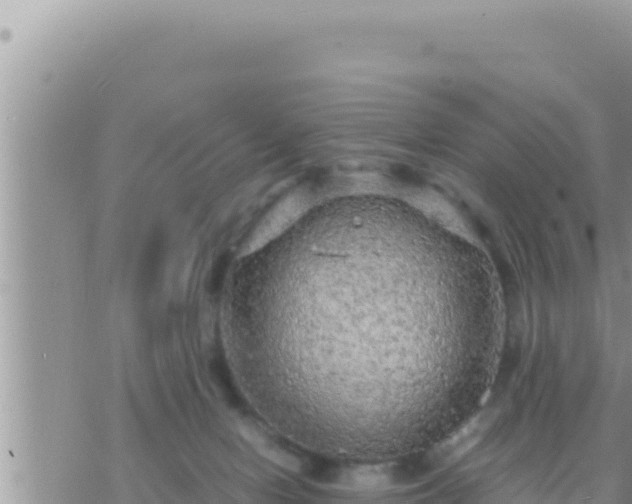 X0000073750078200608102031