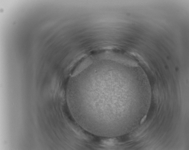 X0000073750079200608102031