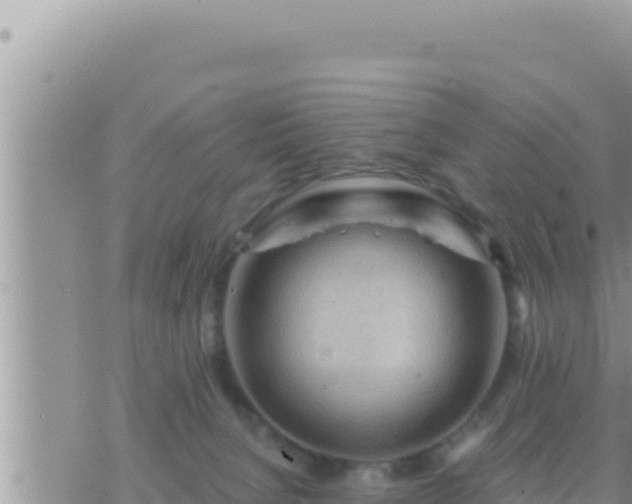 X0000073750080200608102031