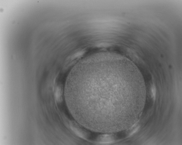 X0000073750082200608102031