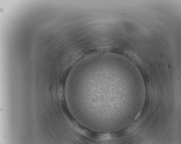 X0000073750083200608102031