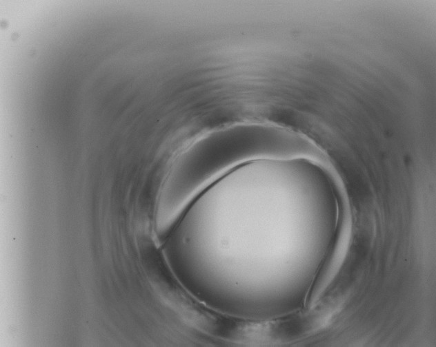 X0000073750084200608102031