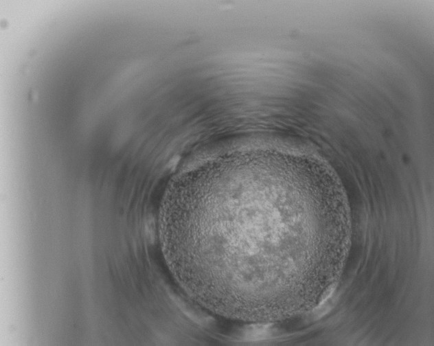 X0000073750090200608102031