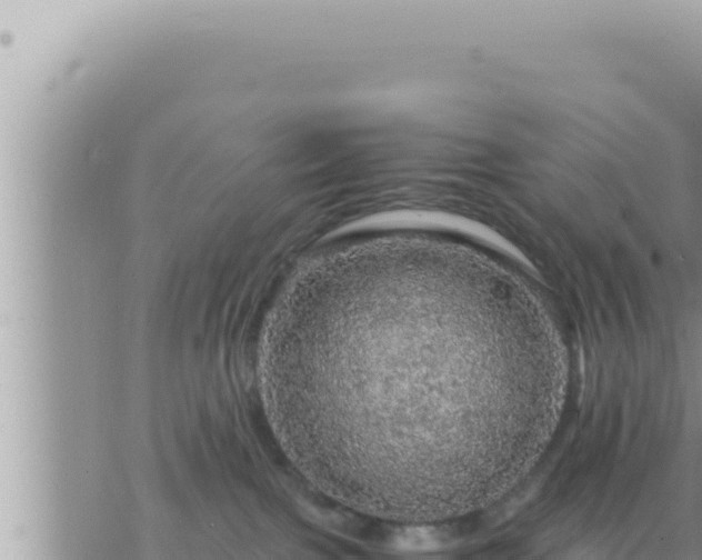 X0000073750091200608102031