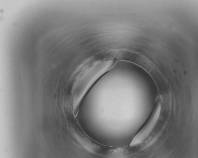 X0000073750092200608102031