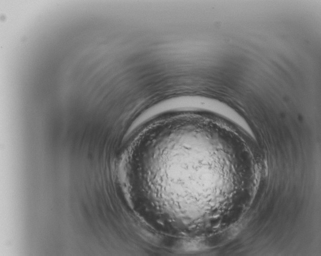 X0000073750093200608102031