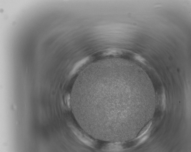 X0000073750094200608102031