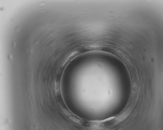 X0000073750096200608102031