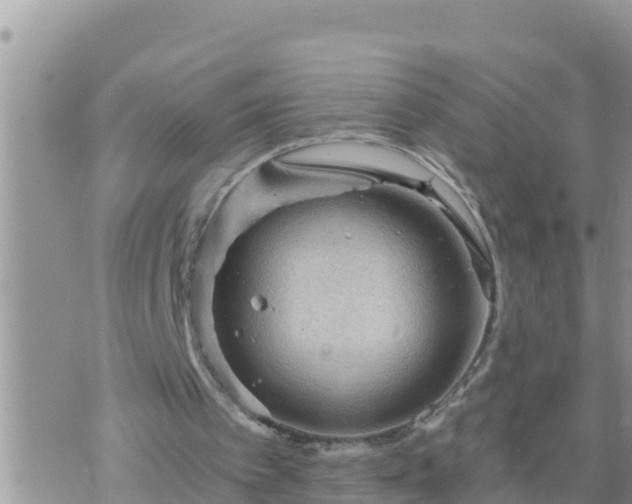 X0000073750097200608102030