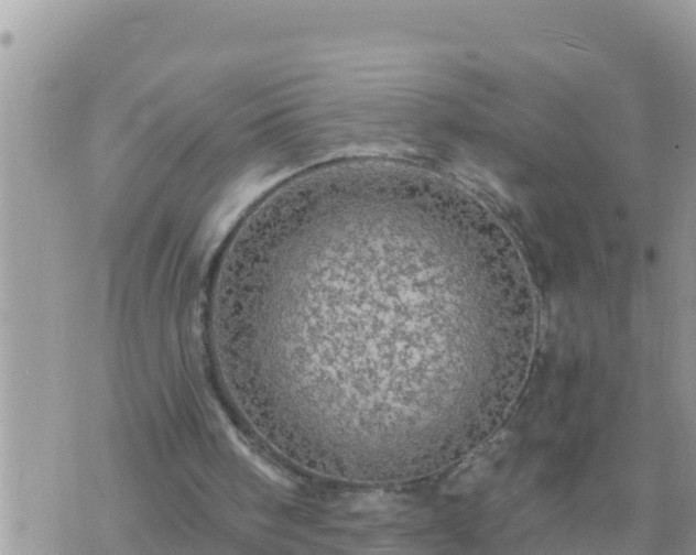 X0000073750098200608102030