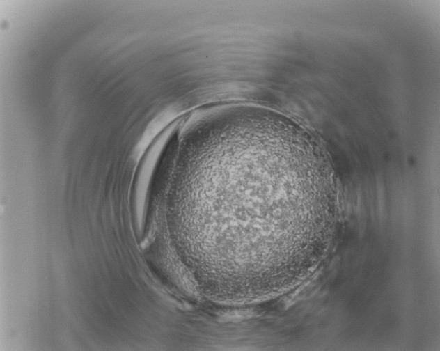 X0000073750099200608102030